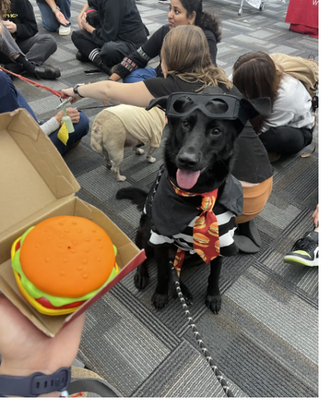 Howl-O-Ween Initiative